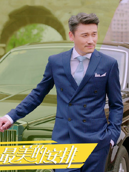 最美的安排剧情介绍_剧情家