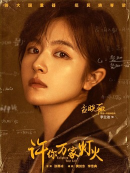 许你万家灯火剧情介绍_剧情家