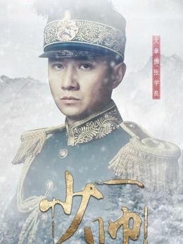 少帅剧情介绍_剧情家