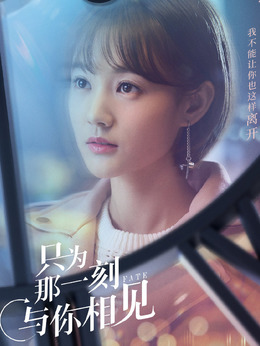 只为那一刻与你相见剧情介绍_剧情家