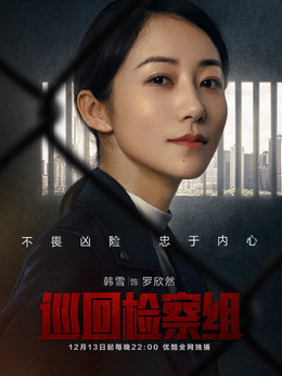 巡回检察组剧情介绍_剧情家