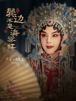鬓边不是海棠红剧情介绍_剧情家
