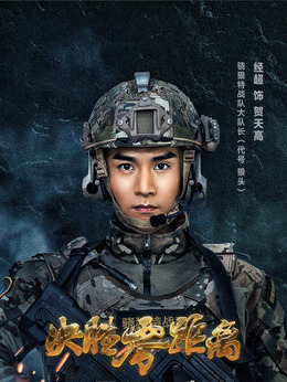 决胜零距离剧情介绍_剧情家
