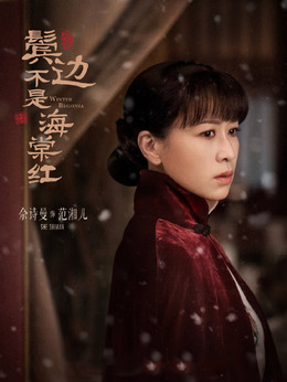 鬓边不是海棠红剧情介绍_剧情家