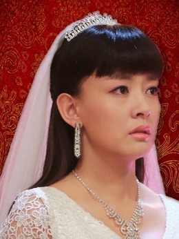 我和她的传奇情仇剧情介绍_剧情家