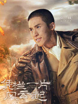 凭栏一片风云起剧情介绍_剧情家