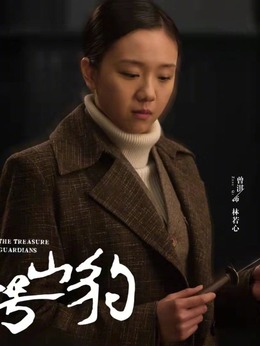 代号·山豹剧情介绍_剧情家