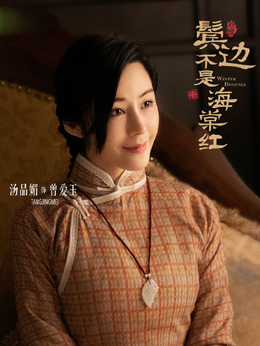 鬓边不是海棠红剧情介绍_剧情家