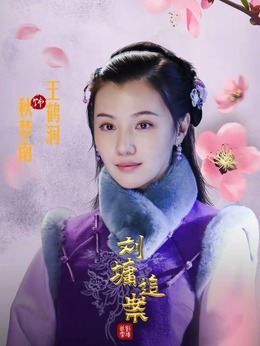 刘墉追案剧情介绍_剧情家