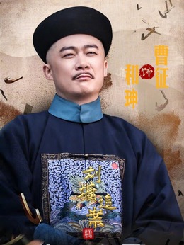 刘墉追案剧情介绍_剧情家