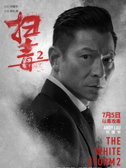扫毒2：天地对决剧情介绍_剧情家