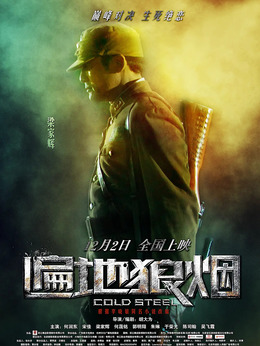 遍地狼烟剧情介绍_剧情家