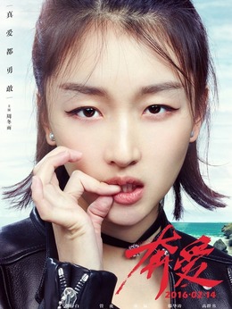 奔爱剧情介绍_剧情家
