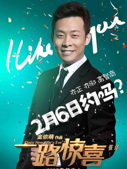 一路惊喜剧情介绍_剧情家