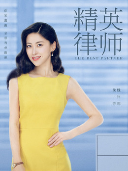 精英律师剧情介绍_剧情家