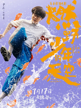 燃野少年的天空剧情介绍_剧情家