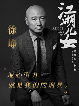 江湖儿女剧情介绍_剧情家