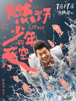 燃野少年的天空剧情介绍_剧情家