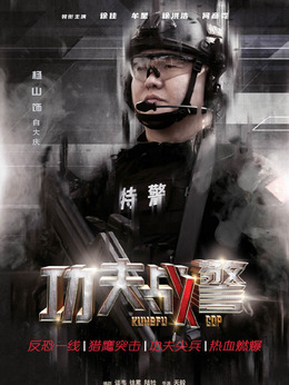 功夫战警剧情介绍_剧情家