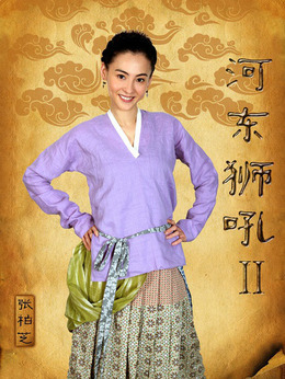 河东狮吼2剧情介绍_剧情家