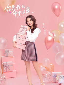 你是我的命中注定剧情介绍_剧情家