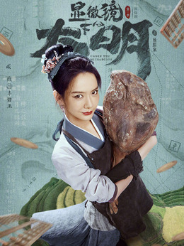 显微镜下的大明剧情介绍_剧情家