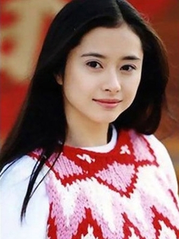 神捕十三娘剧情介绍_剧情家