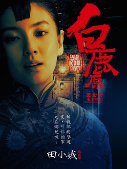 白鹿原剧情介绍_剧情家
