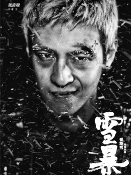 雪暴剧情介绍_剧情家