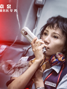 中国机长剧情介绍_剧情家