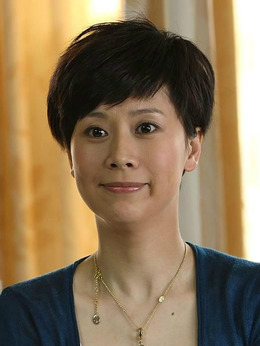 媳妇的美好时代剧情介绍_剧情家