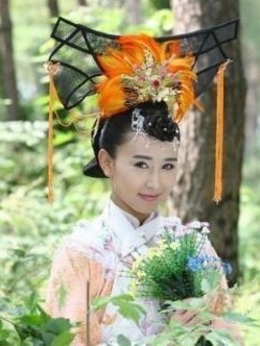 大清后宫之还君明珠剧情介绍_剧情家