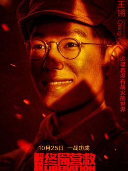 解放·终局营救剧情介绍_剧情家