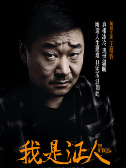 我是证人剧情介绍_剧情家
