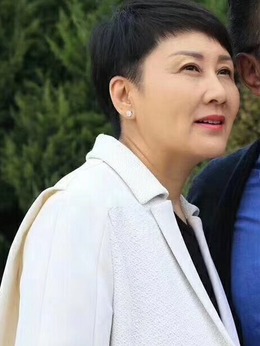 黄大年剧情介绍_剧情家