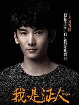 我是证人剧情介绍_剧情家