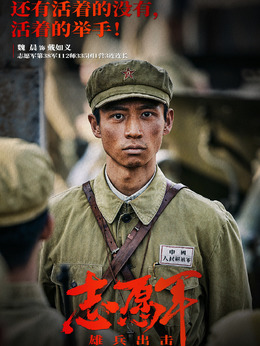 志愿军：雄兵出击剧情介绍_剧情家