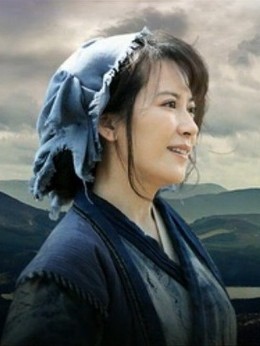 大南迁剧情介绍_剧情家