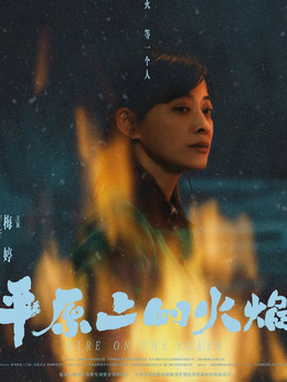 平原上的火焰剧情介绍_剧情家