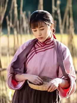 进京城剧情介绍_剧情家