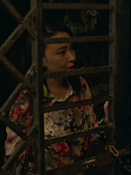 嘉年华剧情介绍_剧情家