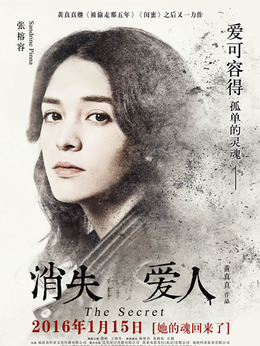 消失的爱人剧情介绍_剧情家