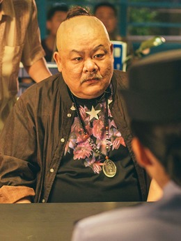 我的宠物是大象剧情介绍_剧情家