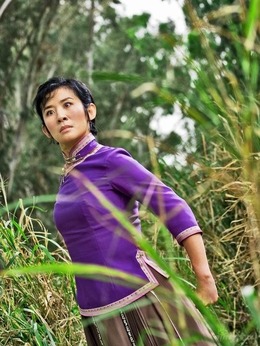 家有喜事2009剧情介绍_剧情家