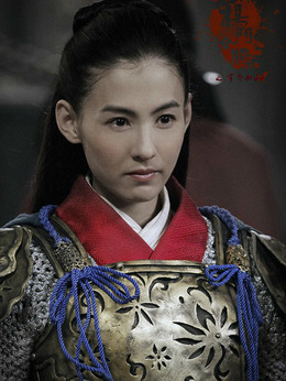 杨门女将之军令如山剧情介绍_剧情家
