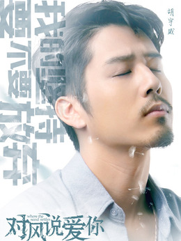 对风说爱你剧情介绍_剧情家