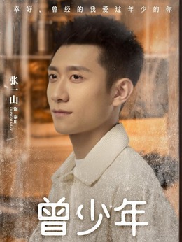 曾少年剧情介绍_剧情家