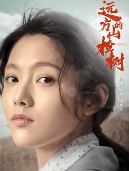 远方的山楂树剧情介绍_剧情家