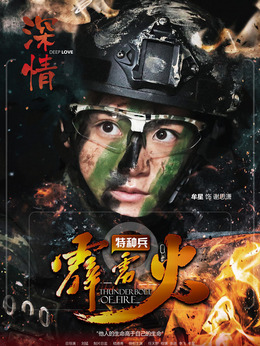 特种兵之霹雳火剧情介绍_剧情家