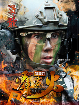 特种兵之霹雳火剧情介绍_剧情家
